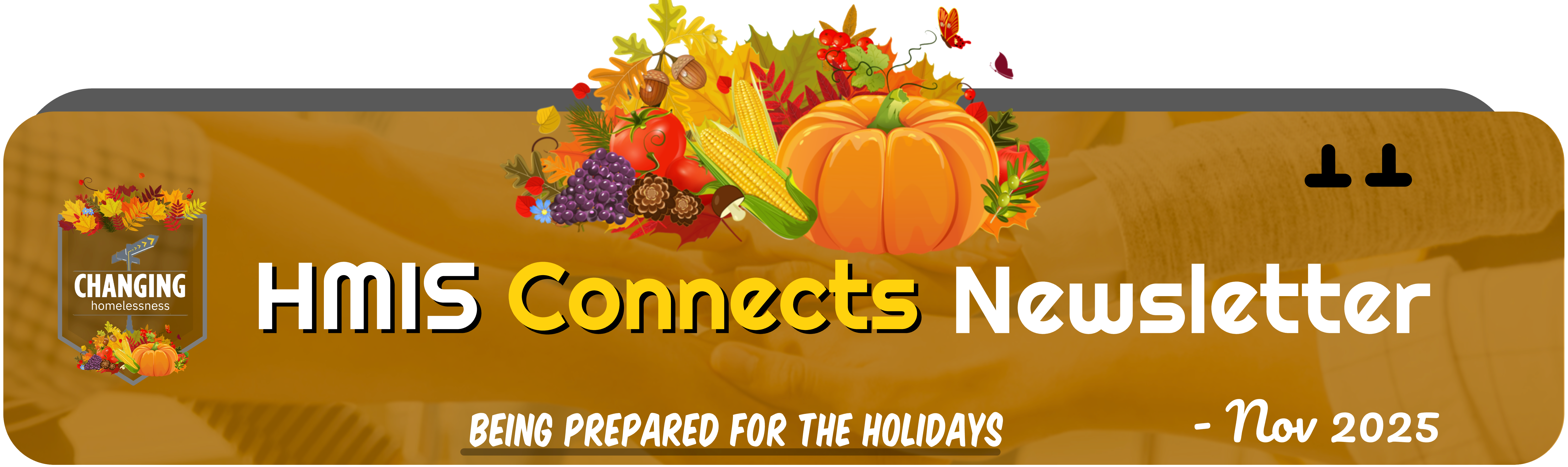 Monthly HMIS Newsletter Header